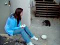 Racoon at Scientific Games