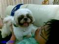 videos de 20112008