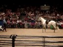 Parelli Natural Horsemanship NEC UK 2008