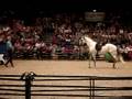 Parelli Natural Horsemanship NEC UK 2008