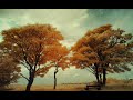 10 favorite piano songs & pieces #4b) 10 favorite piano songs & pieces #4b)
