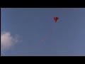 Casos de Teoría del Delito - 