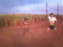 Dragon Ball Vs Himan