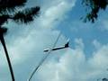 Glider Sculpture In Elmira, NY