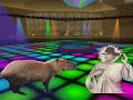 La ballade du capibara La ballade du capibara