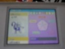 i show mewtwo and giratina i show mewtwo and giratina