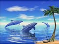 Relajación y equilibrio con Delfines, Meditación guiada