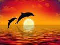 Relajación y equilibrio con Delfines, Meditación guiada