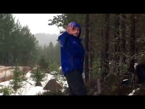 Latest WRC HD & Rally HD Videos