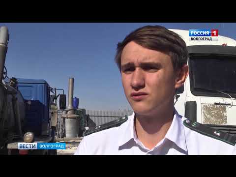 О выявлении запрещенной к ввозу продукции в Волгоградской области