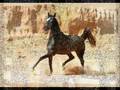 arabi