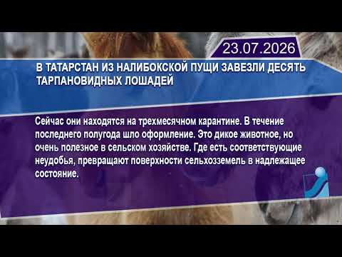 Новостная лента Телеканала Интекс 23.07.26.