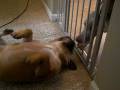 PO20081116_0025.MOV