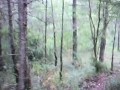 mat� per vallfogona...