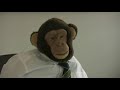Alejandro Fuentes Bergstr�m