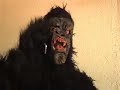 marah in the gorilla suit