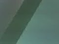 gsdgsgd