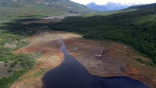 Tourbière du parc National de la Terre de Feu