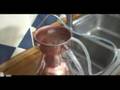 0,5 L Alquitara - Brandy aus Rotwein