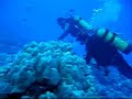 Scuba in French Polynesia (Tahiti)