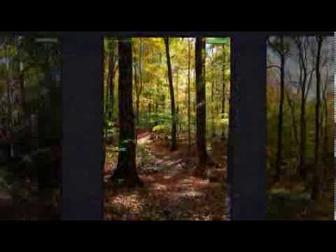 Hiking Voorhees State Park, Glen Gardner, NJ