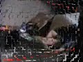 Kane and the Undertaker Chokeslam Tribute