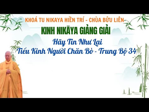 Kinh NIKAYA Giảng Giải - Hãy Tin Như Lai - Tiểu Kinh Người Chăn Bò - Trung Bộ 34