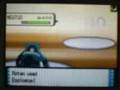 Pokemon Wi-Fi Battle #2: Silence vs 8 yr. old girl 0.0