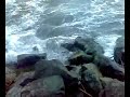 Caspian sea