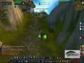 29 Shaman Twink
