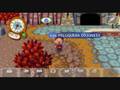 videos de Animal Crossing City Folk (ACCF) fotos