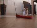 videos de Kleine Daisy.mpg