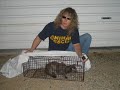 hurricane katrina animal rescue