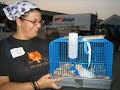 hurricane katrina animal rescue