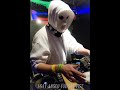 Angerfist Dominator Remix.wmv