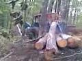 daff ne malet e sharrit bukovik ntpshz ``LYPETENI``