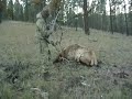 My 2007 6x7 Bull Elk
