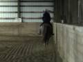 videos de piticelle