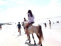 andando de cavalo hoho* andando de cavalo hoho*