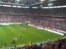 F95- HSV Humba von Cebe F95- HSV Humba von Cebe