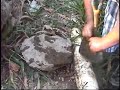 aguas con el agua