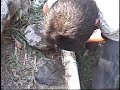 aguas con el agua