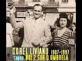 DOREL LIVIANU - Noi 2 Sub O Umbrela -  The 2 Of Us Under An Umbrella, Samba  1930s Manele-Gratis.net