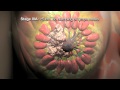 Getting to know Breast Cancer