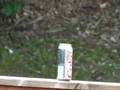 videos de Coke Can vs. Crossman XT