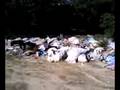 videos de 08.11.08. Vertedero ilegal de basura en Pozuelo de Alarcón 2