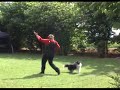 Dogdance met Jamie, Carmen routine Dogdance met Jamie, Carmen routine