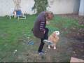 Doggie Style (Dog Show)