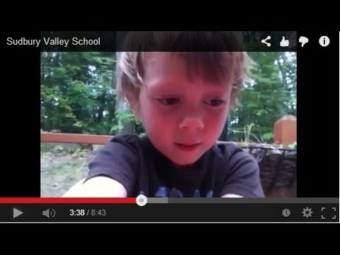 how to decide to move schools