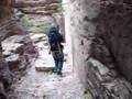 Chiricahua Mountains Hiking